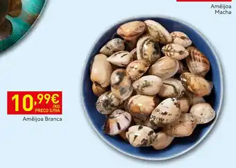 Recheio Amêijoa branca promoção