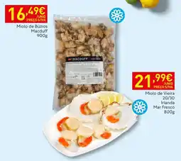 Recheio Miolo de Búzios Macduff promoção