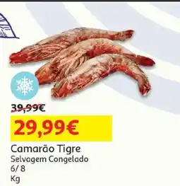 Auchan Camarão Tigre Selvagem Congelado promoção