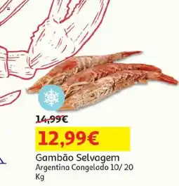 Auchan Gambão selvagem promoção