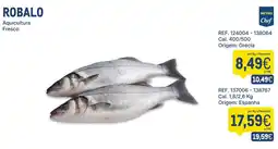 Makro Robalo aquicultura fresco promoção
