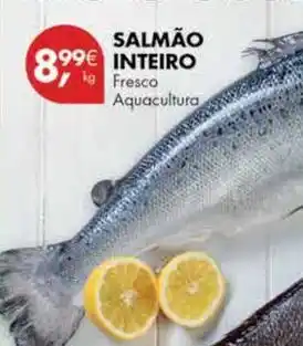 Pingo Doce Aquacultura - salmão inteiro promoção
