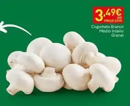 Recheio Cogumelo branco medio interior promoção