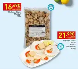 Recheio Vieira - miolo de buzos promoção