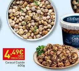 Recheio Caracol cozido promoção