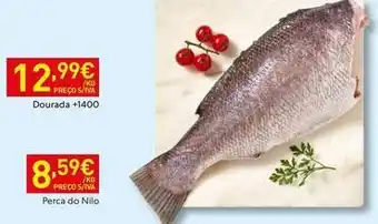 Recheio Dourada promoção