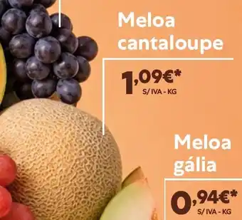 Recheio Meloa cantaloupe promoção