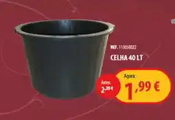 CAMPOCHEIO Celha 40 lt promoção