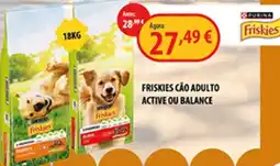 CAMPOCHEIO Friskies cão adulto active ou balance promoção