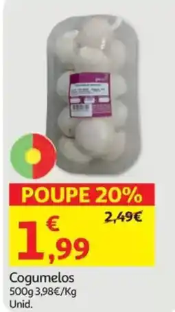 Auchan Cogumelos promoção