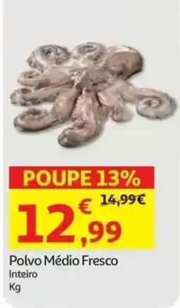 Auchan Polvo Médio Fresco Inteiro promoção