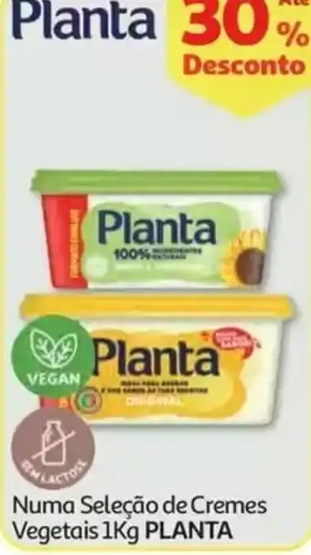 Auchan Planta promoção