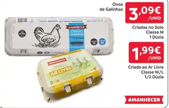 Amanhecer Ovos de Galinhas Amanhecer promoção