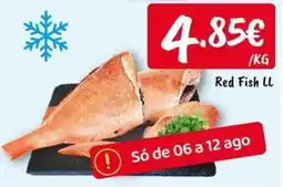 Ponto Fresco Red Fish LL promoção