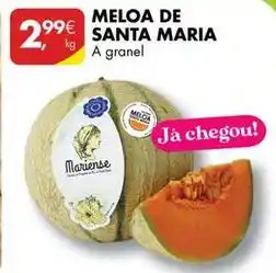 Pingo Doce Santa maria - meloa de promoção
