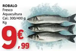 E.Leclerc Robalo promoção