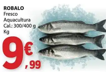 E.Leclerc Robalo promoção