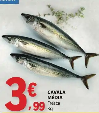 Cavala média