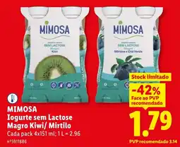 Lidl Mimosa iogurte sem lactose magro kiwi/ mirtilo promoção