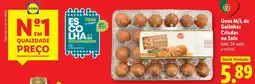 Lidl Ovos M/L de Galinhas Criadas no Solo promoção