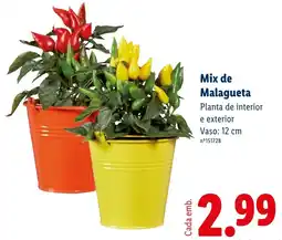 Lidl Mix de Malagueta promoção