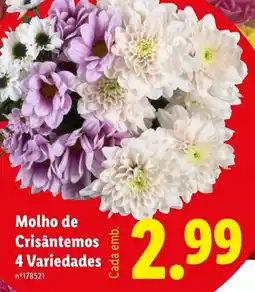 Lidl Molho de Crisântemos 4 Variedades promoção