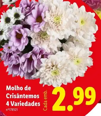 Lidl Molho de Crisântemos 4 Variedades promoção