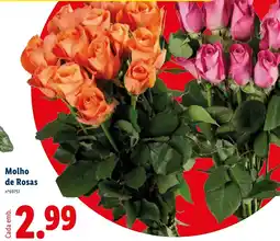 Lidl Molho de Rosas promoção