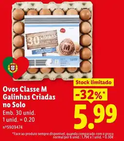 Lidl Ovos Classe M Galinhas Criadas no Solo promoção