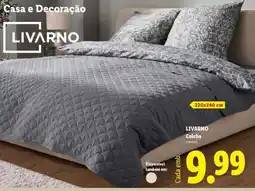 Lidl LIVARNO promoção