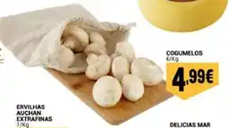 Neomáquina Cogumelos promoção