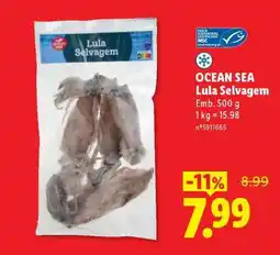 Lidl Ocean Sea Lula Selvagem promoção