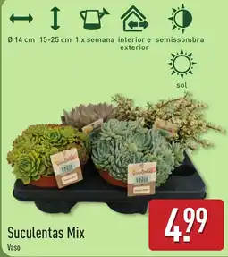 ALDI Suculentas Mix Vaso promoção