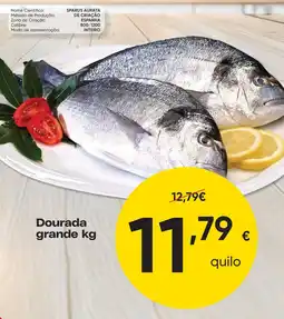 Froiz Dourada grande promoção