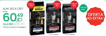Alimentação seca cão purina pro plan
