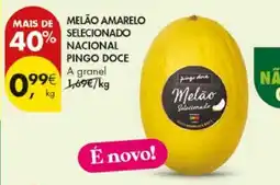 Pingo Doce Melão amarelo selecionado pingo doce promoção
