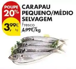 Pingo Doce Carapau pequeno/médio selvagem promoção
