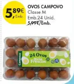 Pingo Doce ovos campoovo promoção
