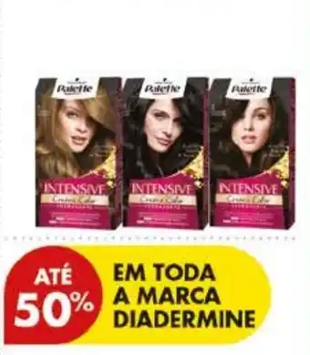 Pingo Doce Palette Intensive Creme Color promoção