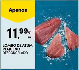 Continente Lombo de atum pequeno descongelado promoção