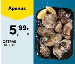 Continente Ostras frescas promoção
