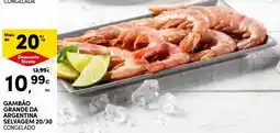 Continente Gambão grande da argentina promoção