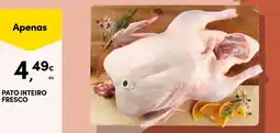 Continente Pato inteiro fresco promoção