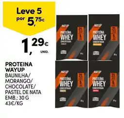 Continente Proteína wayup promoção