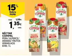 Continente Néctar compal promoção
