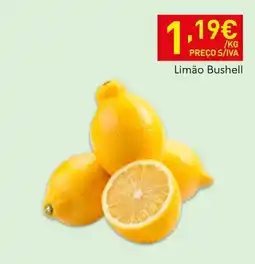 Recheio Limão Bushell promoção