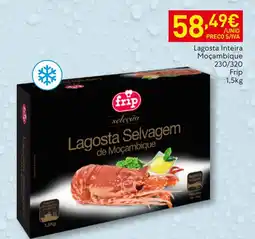 Recheio Frip seleção lagosta selvagem de moçambique promoção