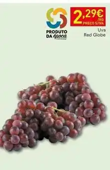 Recheio Globe - uva red promoção
