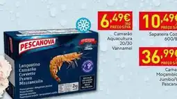 Recheio Pescanova - camarão aguacutura promoção