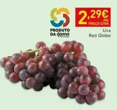 Recheio Globe - uva red promoção